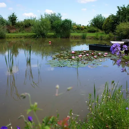 Les Charmilles Frühstückspension Hazebrouck